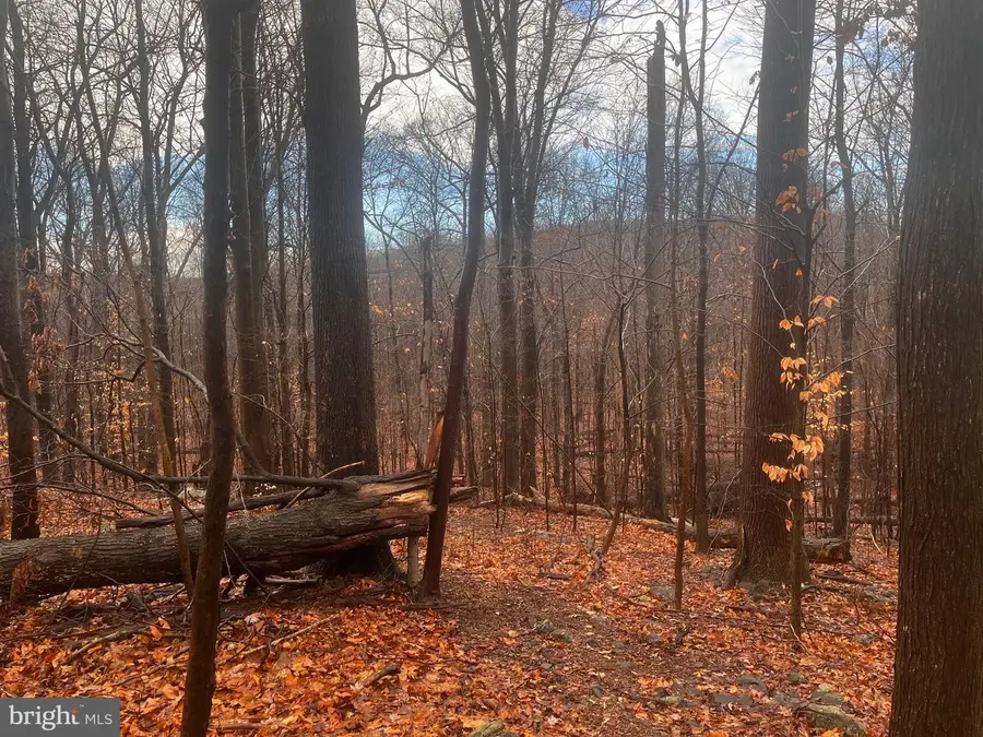 327 Hibernia Rd., Coatesville, PA 19320 - Image #2