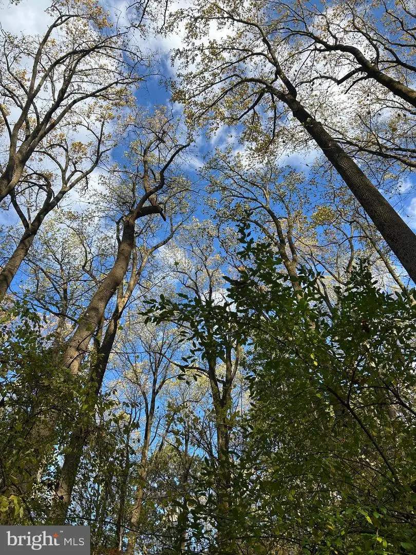 0 Bertolet School Rd, Spring City, PA 19475 - Image #2