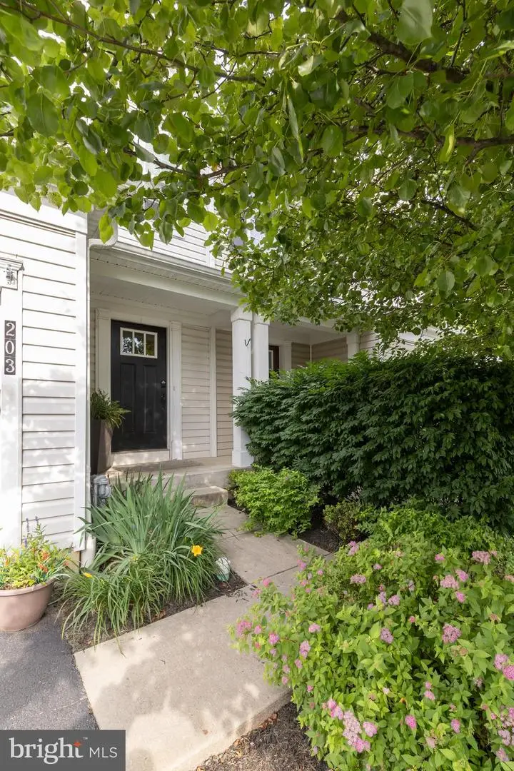 203 Sills Ln, Downingtown, PA 19335 - #3