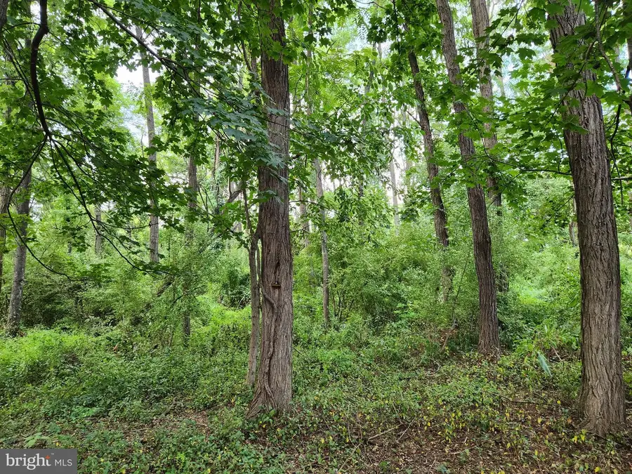 #3