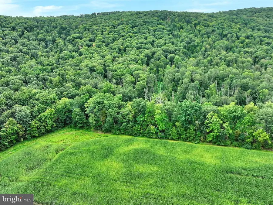 Summit Branch Railroad, Elizabethville, PA 17023 - Image #2