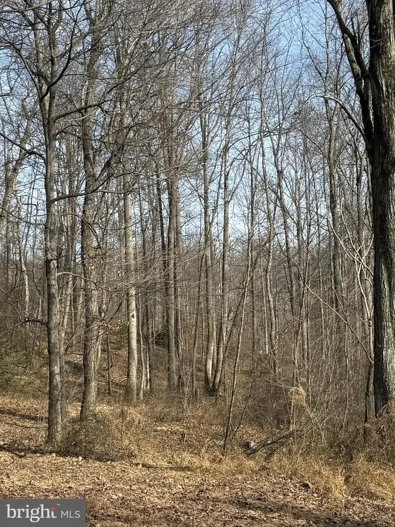 Corner Of Poplar Ridge Ln & Mountain Rd, Dauphin, PA 17018 - #2