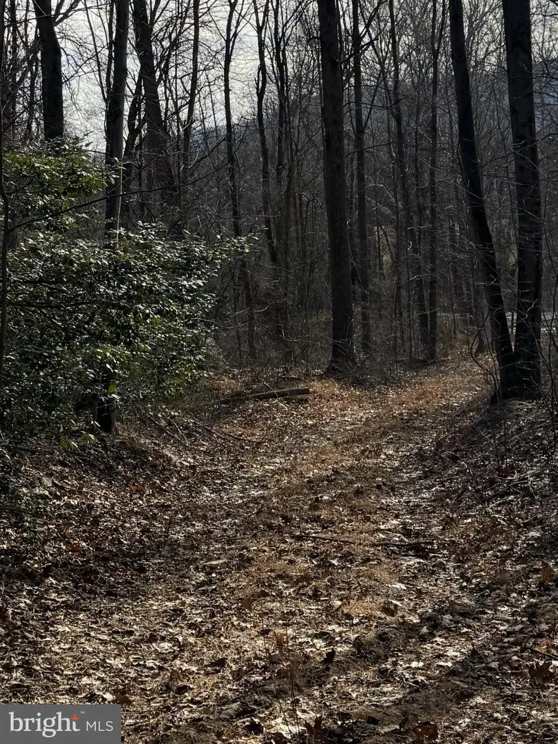 Corner Of Poplar Ridge Ln & Mountain Rd, Dauphin, PA 17018 - #3