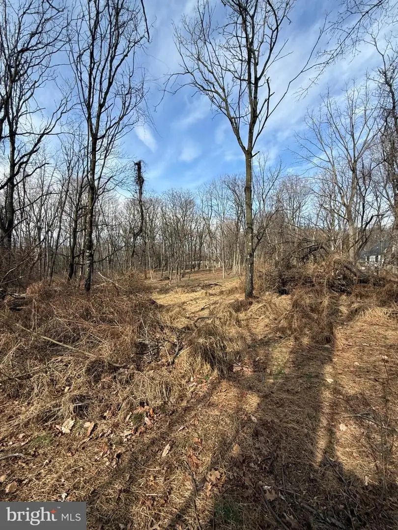 0 Sand Hill Rd, Hummelstown, PA 17036 - #3