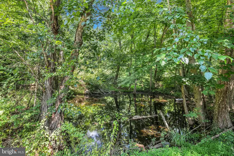 1831 Miller Rd Ext, Dauphin, PA 17018 - #2