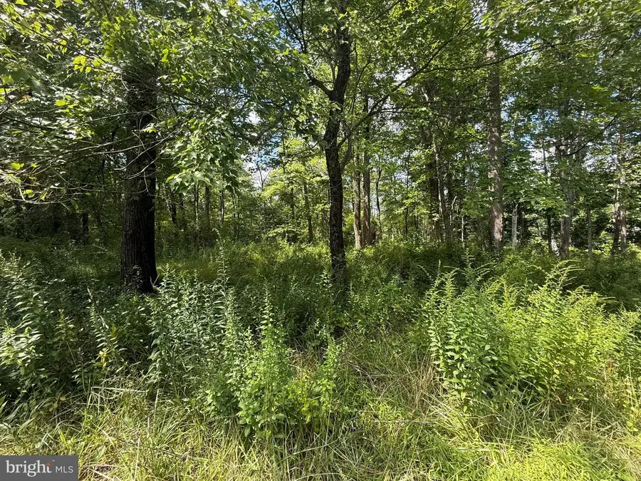 Lot Fishing Creek Valley Rd, Harrisburg, PA 17112 - #3