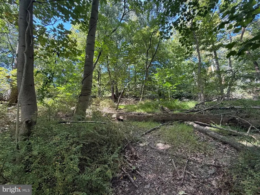 Lot 67 Maple Shade Dr, Harrisburg, PA 17110 - #2