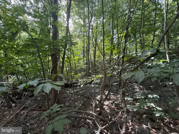 Lot 60 Dogwood Rd, HARRISBURG, PA 17110