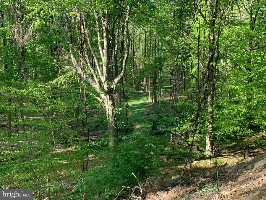 0-ced Cedar Grove Rd, Broomall, PA 19008 - Image #3