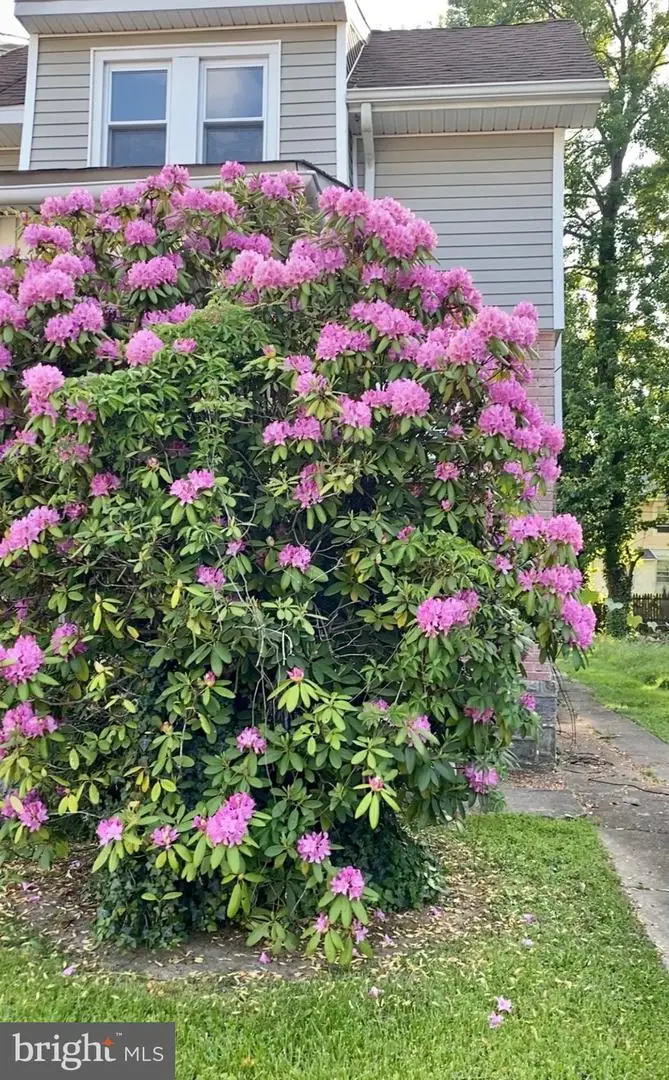 422 Arbor Rd, Lansdowne, PA 19050 - #2