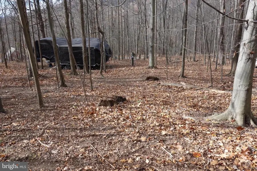 22556 Loop Rd, Doylesburg, PA 17219 - Image #2