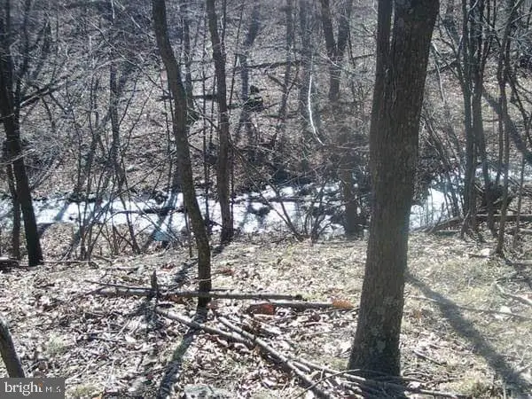 Stumpy Ln, Fort Loudon, PA 17224 - Image #2