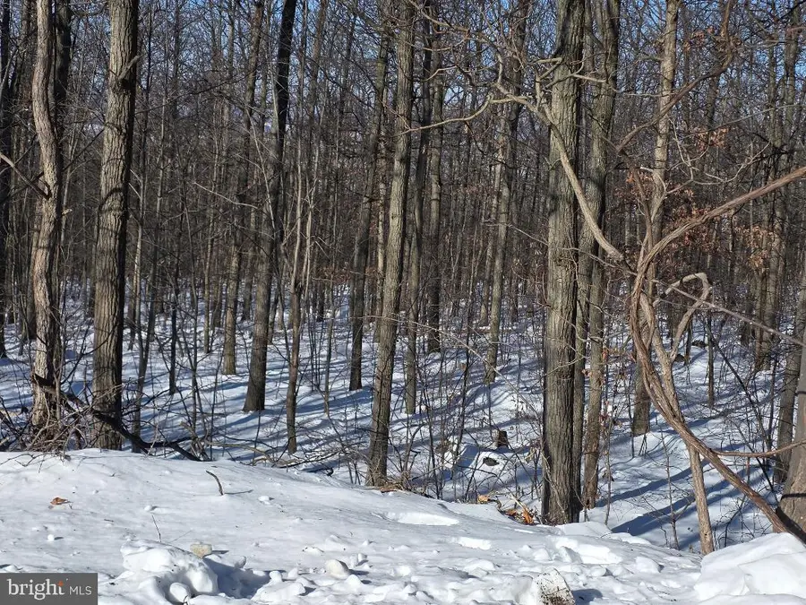 Morman Church Road, Waynesboro, PA 17268 - #2