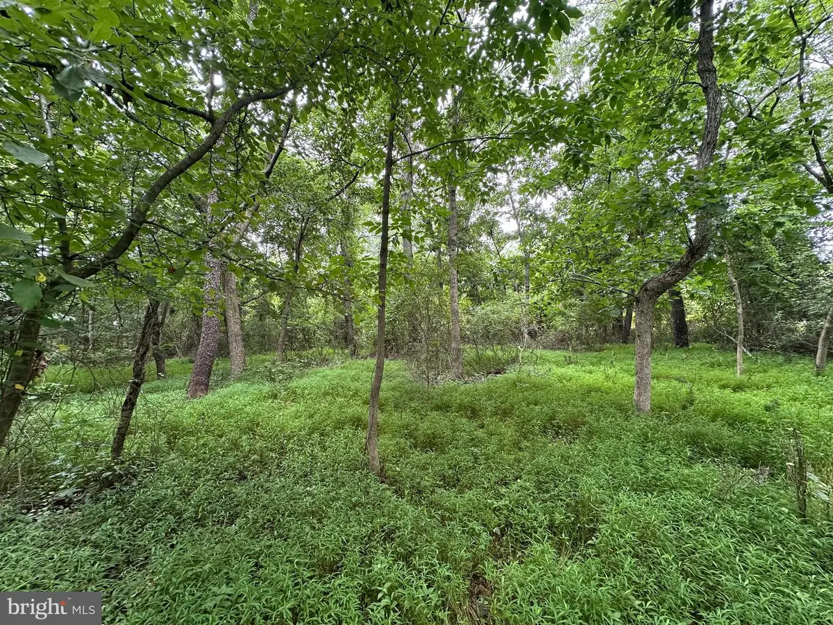 9+/- Acres Polidor Road, Waynesboro, PA 17268 - #1