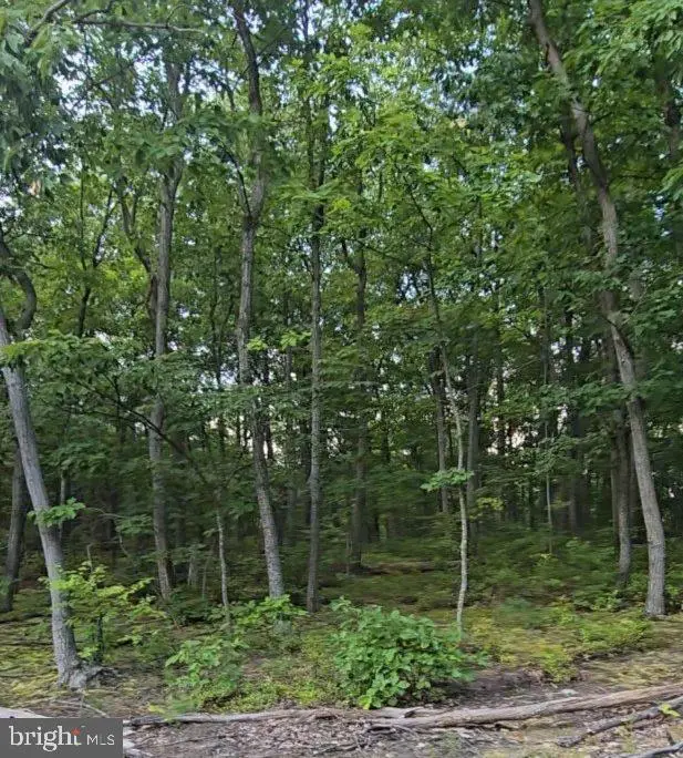 0 Cumberland Hwy, Newburg, PA 17240 - #1