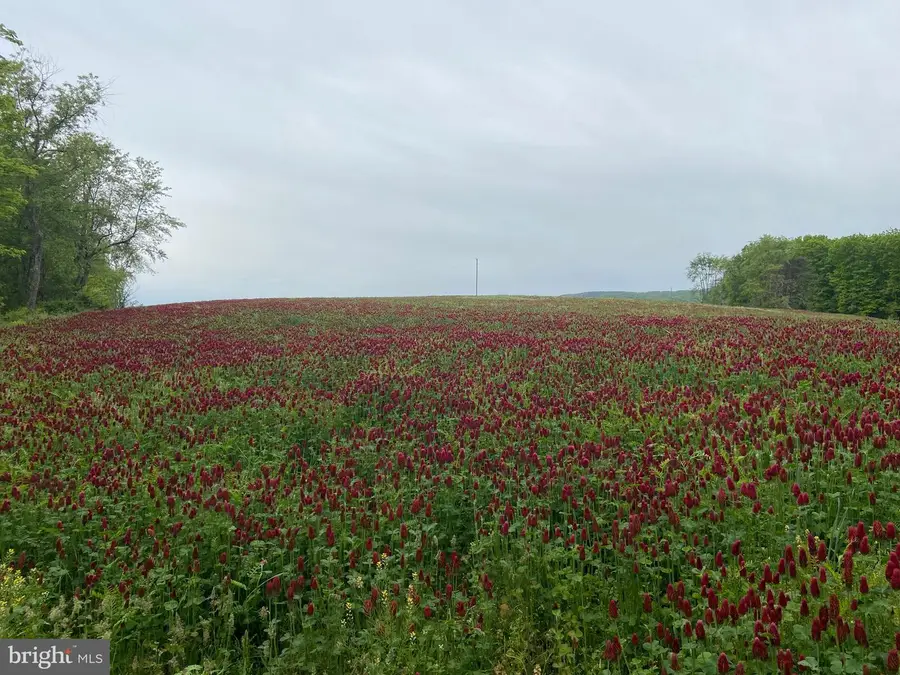 0 Llama Lane, Needmore, PA 17238 - Image #2