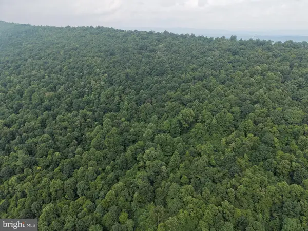 Tract 2: 30.99+/- Acres At 872 Fischer Rd, WARFORDSBURG, PA 17267