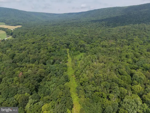 107+/- Acres Schenck Rd, WELLS TANNERY, PA 16691