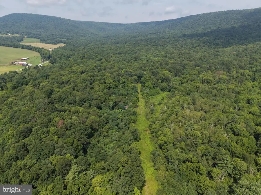 107+/- Acres Schenck Rd, Wells Tannery, PA 16691 - #2