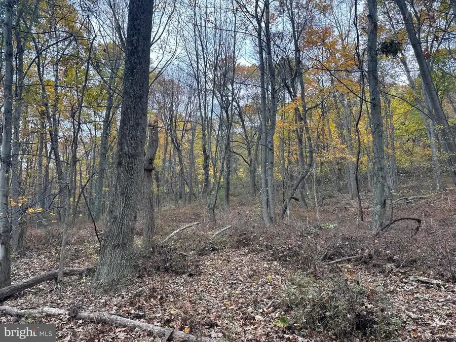 Tract 4: 13.5+/- Acres Coles Valley Rd, Robertsdale, PA 16674 - Image #3