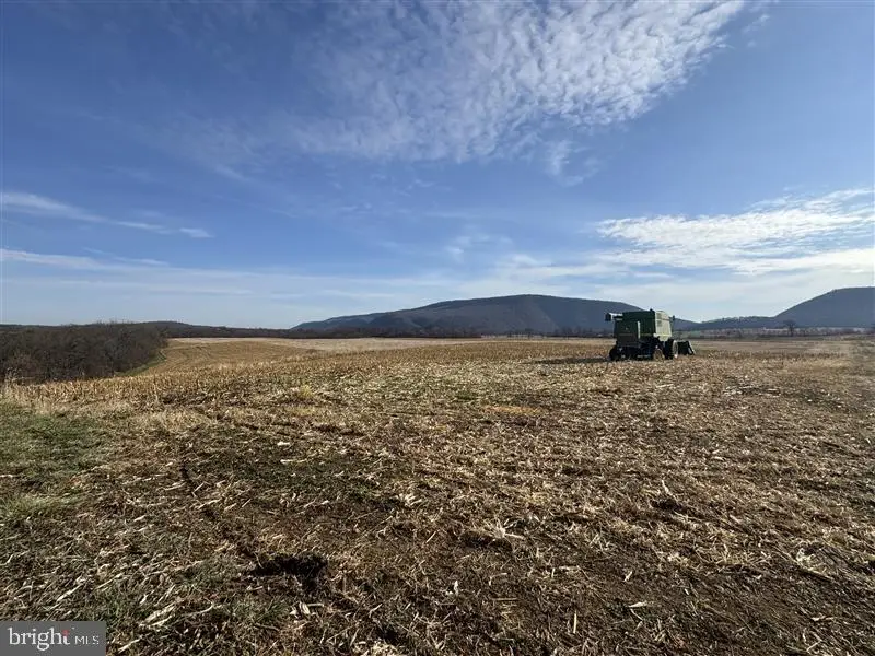 3581 Union Furnace, Tyrone, PA 16686 - #2