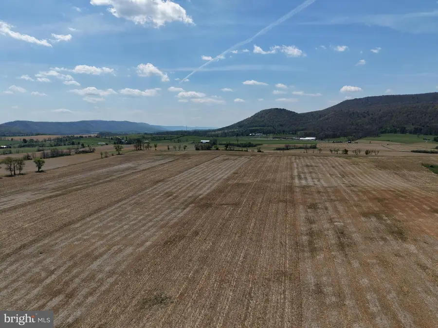 Tract 1: 131.24+/- Acres Off Of Union Furnace Rd, Tyrone, PA 16686 - #2