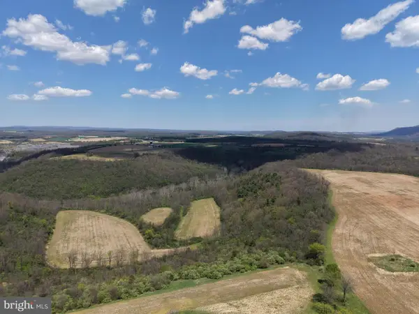 Tract 4: 39.99+/- Acres Union Furnace Rd, TYRONE, PA 16686