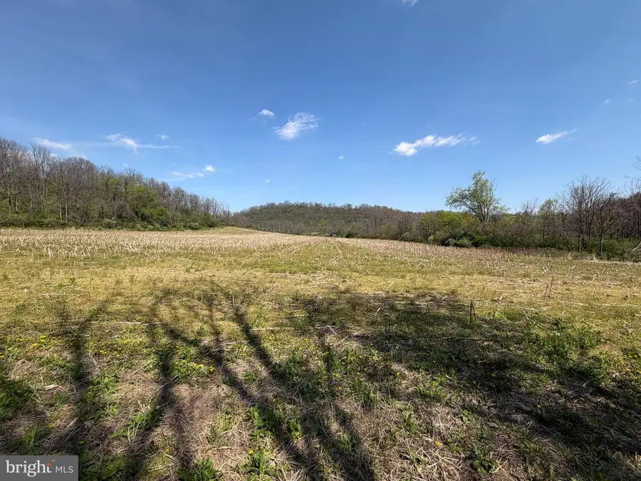 Tract 4: 39.99+/- Acres Union Furnace Rd, Tyrone, PA 16686 - #3