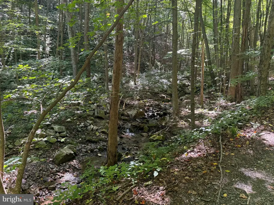 95+/- Acres Laurel Mountain Rd, Three Springs, PA 17264 - #3
