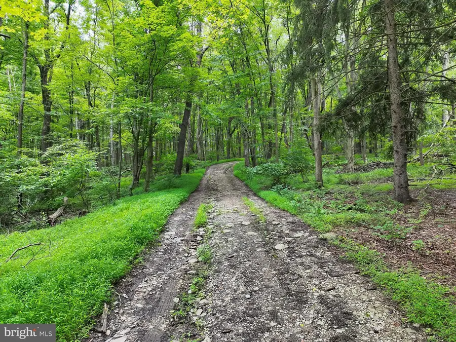 0 Schoolhouse Rd, Blairsville, PA 15717 - #2