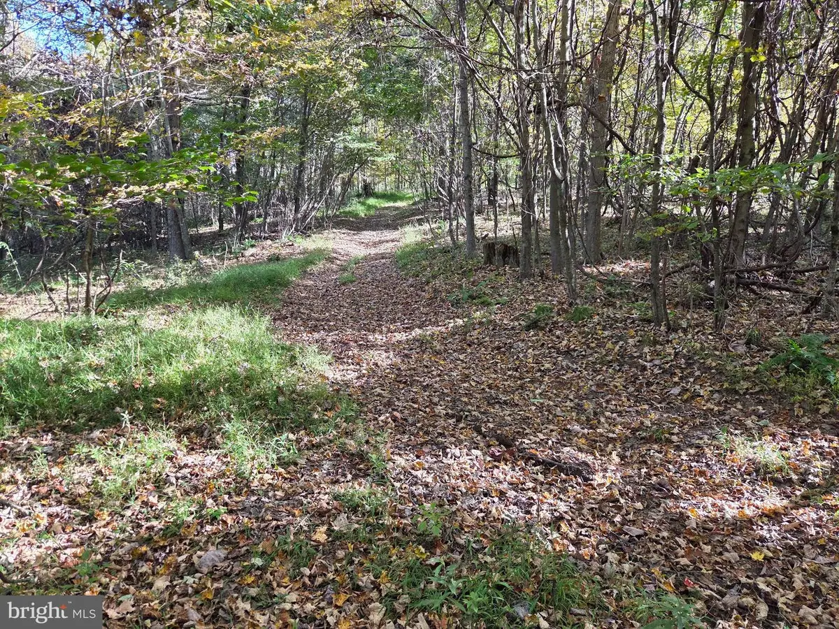 00 Black Walnut Rd, Commodore, PA 15729 - #1
