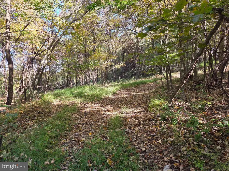 00 Black Walnut Rd, Commodore, PA 15729 - #3