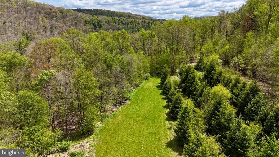 2800 Center Hill Rd, Brookville, PA 15825 - #3