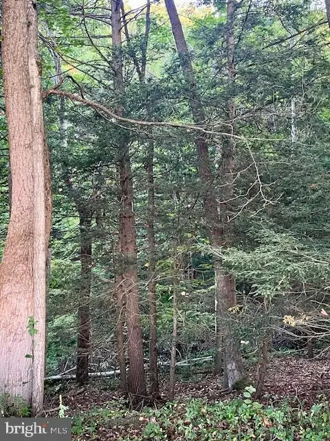 #3
