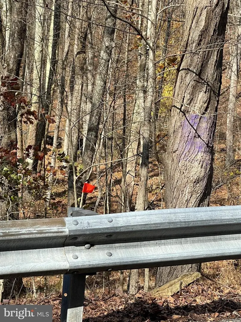 Berry Ridge Road, East Waterford, PA 17021 - Image #3