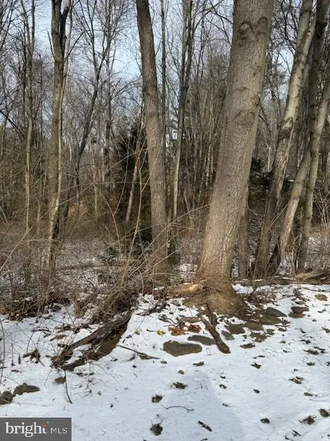 204 Canterbury Ct, Nottingham, PA 19362 - Image #2