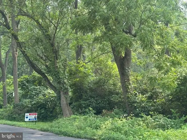 8120 Grant Rd, Coopersburg, PA 18036 - #3