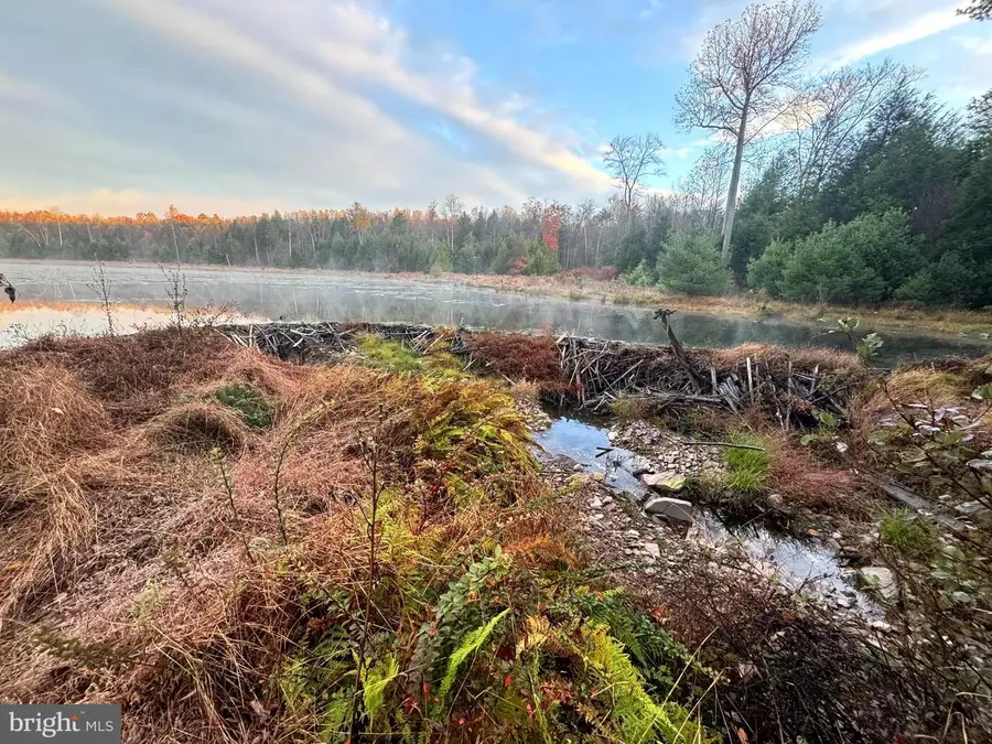 0 Bethel Hill Road, Sweet Valley, PA 18656 - Image #2