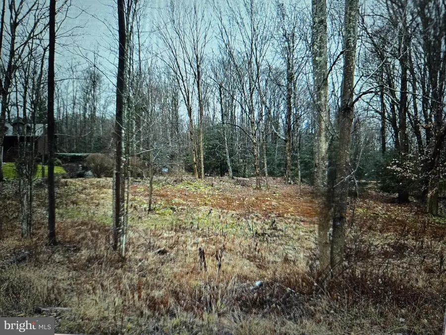 05 Outlet Rd, Harveys Lake, PA 18618 - #3