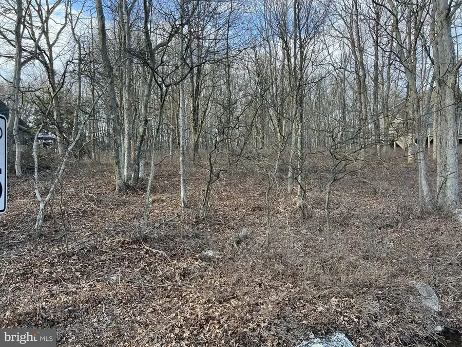 44 E Players Way, Hazleton, PA 18202 - #3