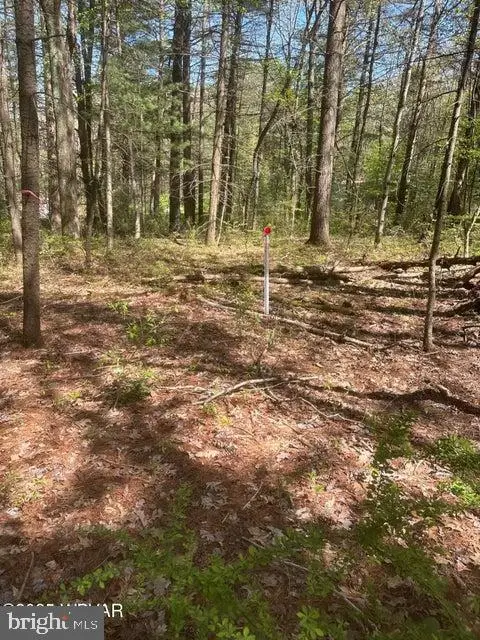 #2