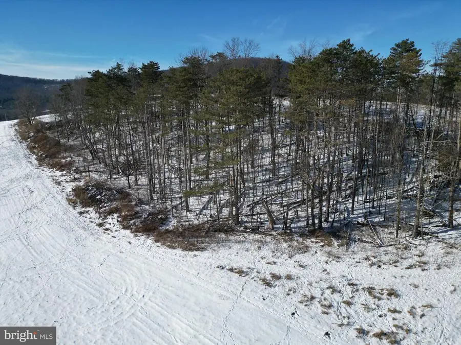 000 Rose Valley Rd, Trout Run, PA 17771 - Image #3