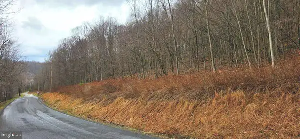 Route 1010 Roaring Branch Rd, RALSTON, PA 17763