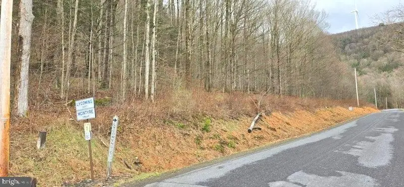 Route 1010 Roaring Branch Rd, Ralston, PA 17763 - #2