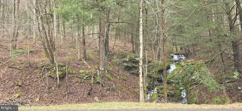 Route 1010 Roaring Branch Rd, Ralston, PA 17763 - #3