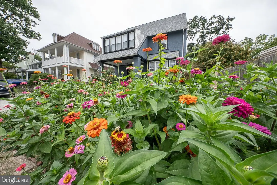 405 Berkley Rd, Haverford, PA 19041 - Image #1