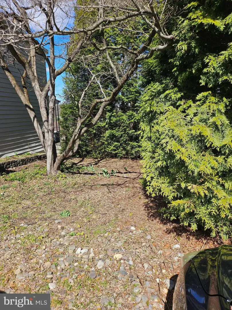 138 Ebenezer Ave, Bala Cynwyd, PA 19004 - #3