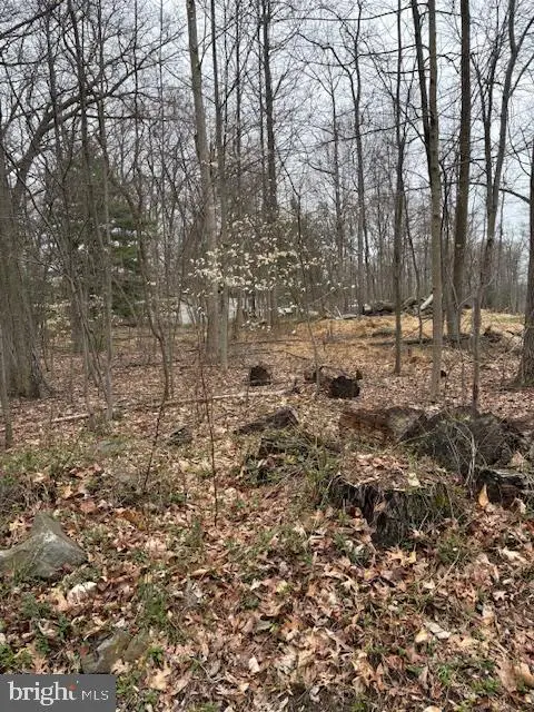 1716 Snyder Rd, Green Lane, PA 18054 - #1