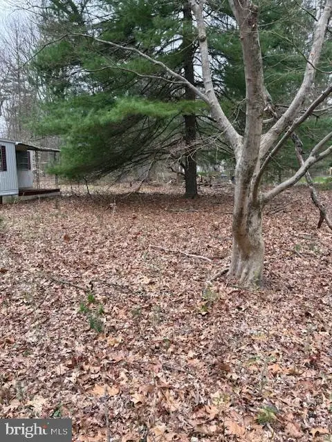 1716 Snyder Rd, Green Lane, PA 18054 - #3