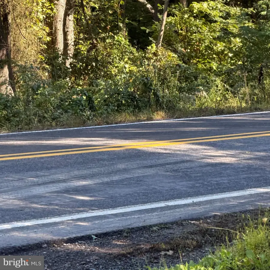 Risky Road, Lot 9, Lewistown, PA 17044 - #3